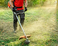 Desmalezado con orilladora